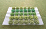HSS MLGB30 - Self Adhesive Mixed Light Green Bushes (30)