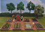 Cabbage & Cauliflower Beds for 00/HO Model Railway and Diorama's