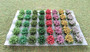 Self Adhesive Flowering & Foliage Shrubs (40)