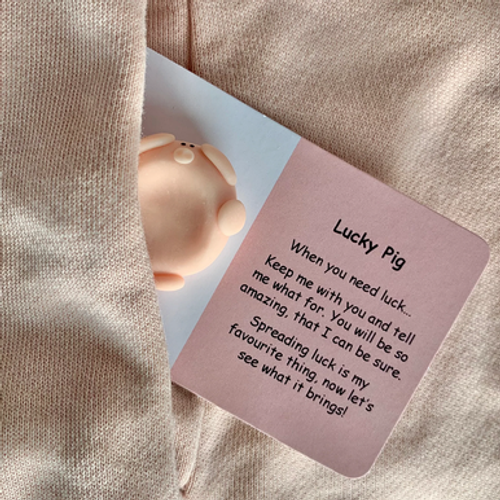 Each Little Joys Worry Stone - Lucky Pig is hand crafted by teenage artist Amelie who is hoping to make a positive difference to people with mental health challenges.