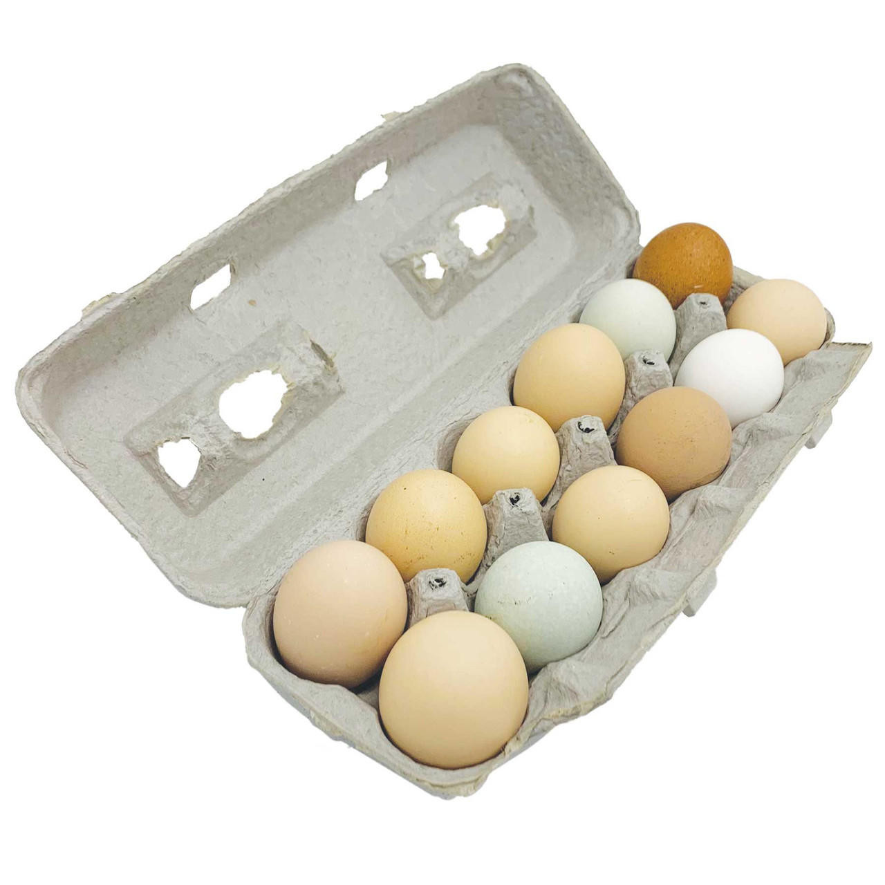 12 ct Jumbo Blank View Post Pulp Egg Cartons w/ FREE SHIPPING*