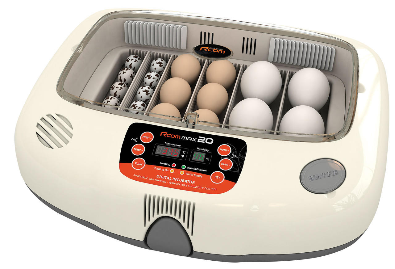 Rcom Max 20 Incubator | Stromberg's Chickens
