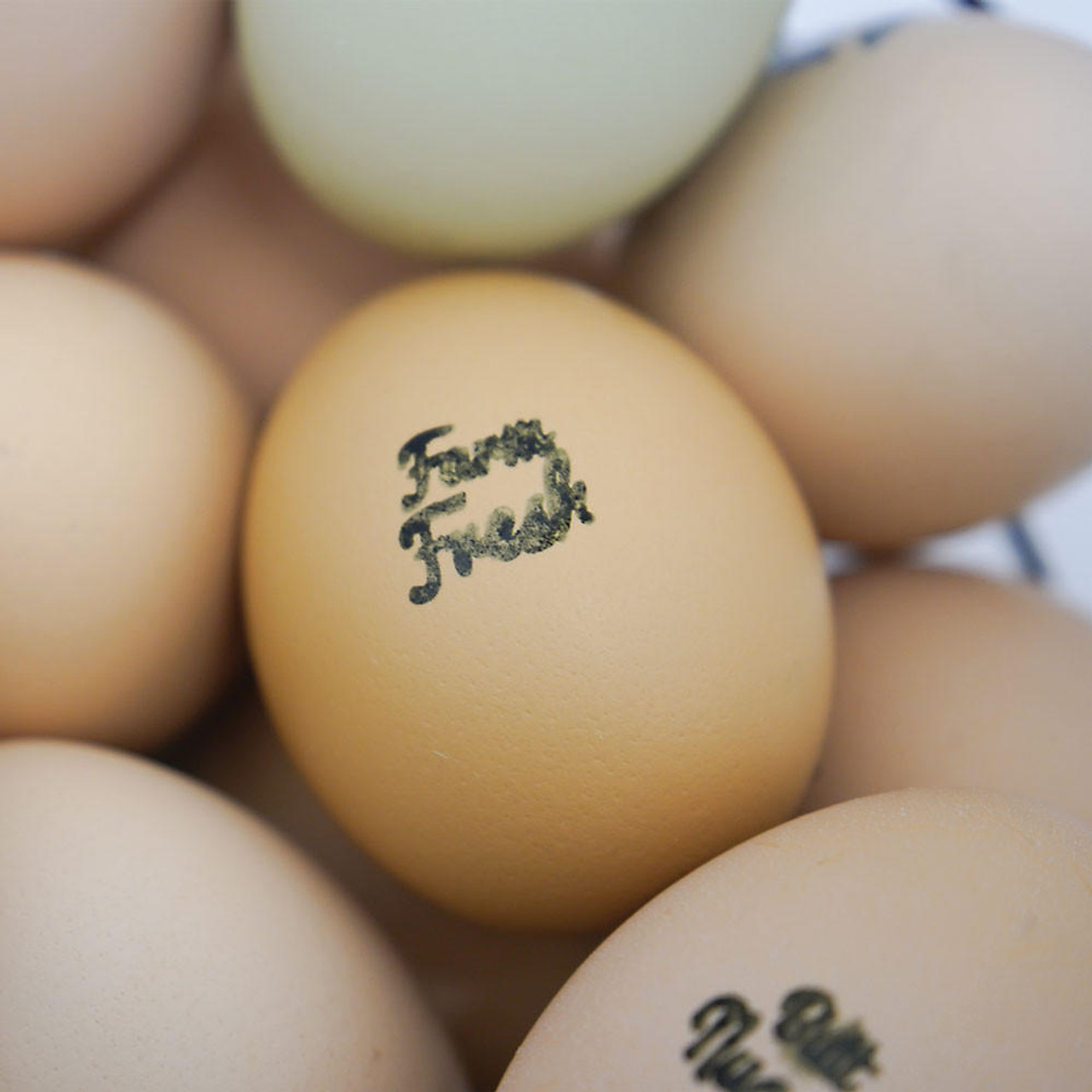 Fresh Eggs Your Name Chicken Hens Egg Stamp