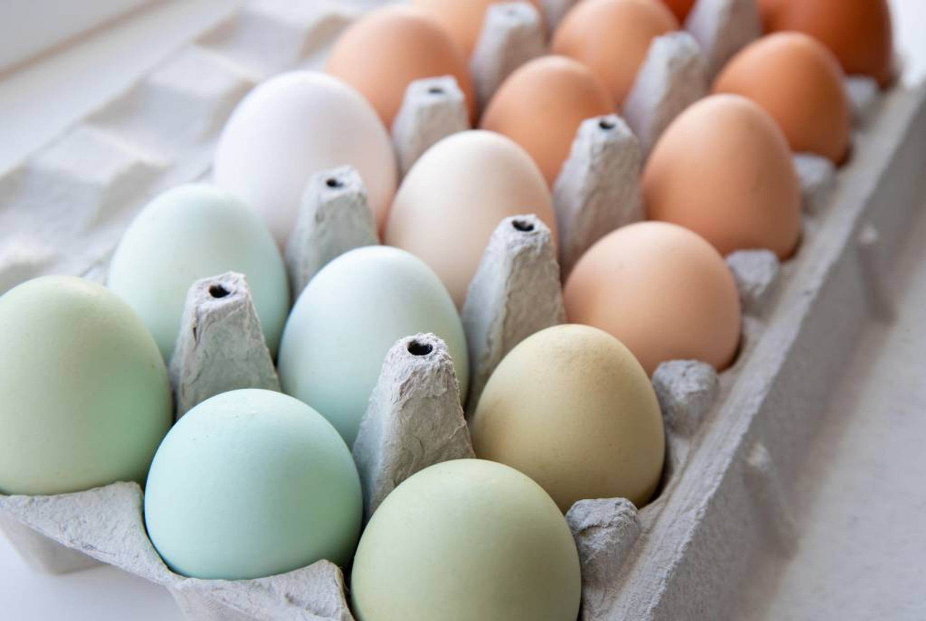 The Truth About Chicken Egg Color: What It Really Means thumbnail image