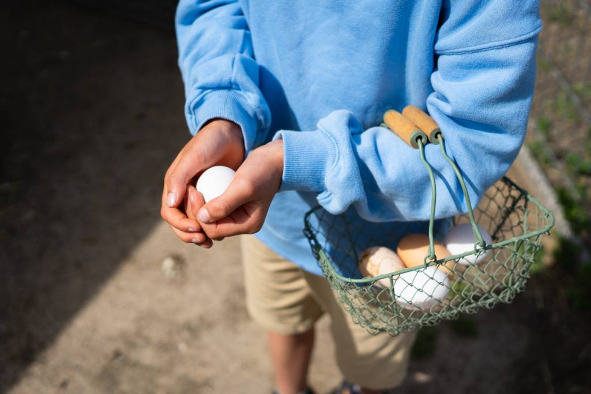 How to Safely Store and Wash Fresh Eggs thumbnail image