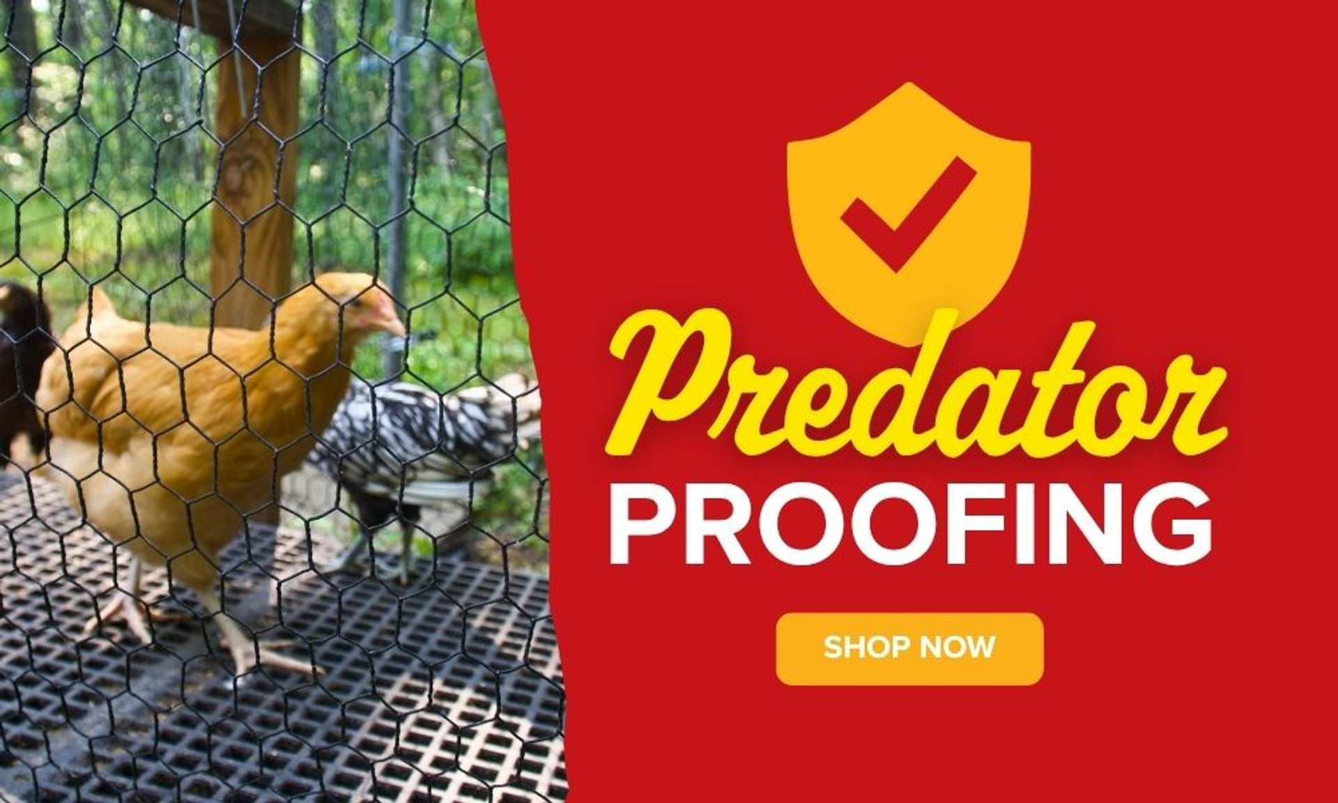 Batten Down the Coop: Fall Predator-Proofing Tips for Your Flock thumbnail image