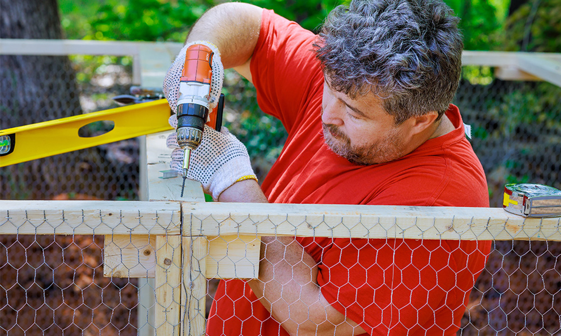The Guide to the Perfect Chicken Coop thumbnail image