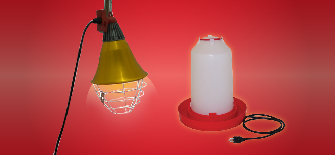 Winterization: Heat Lamp With Safety Switch & Heated Waterers thumbnail image