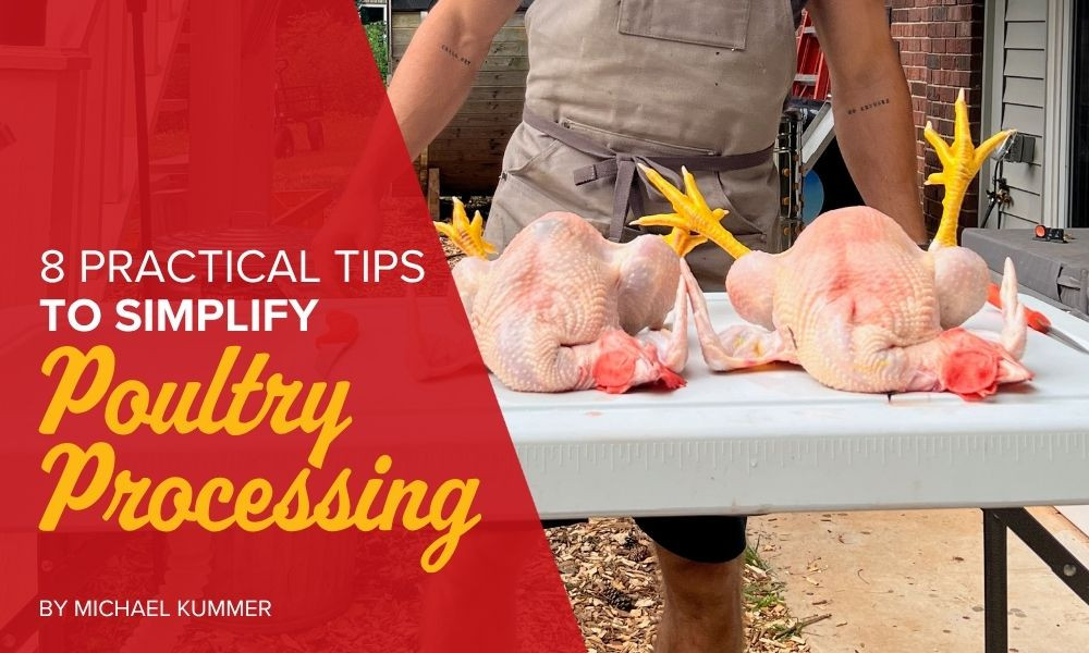 8 Practical Tips to Simplify Poultry Processing thumbnail image