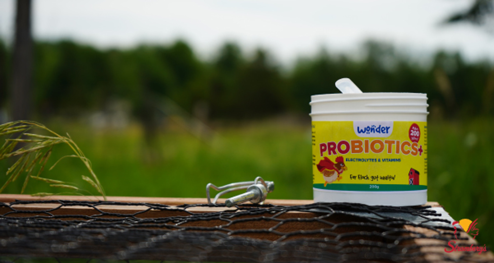 Probiotics – The #1 Way to Prevent Illness thumbnail image