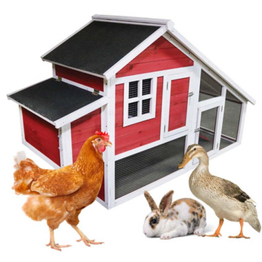 "The Egg Hut" Wooden Chicken Coop (up to 3 chickens)