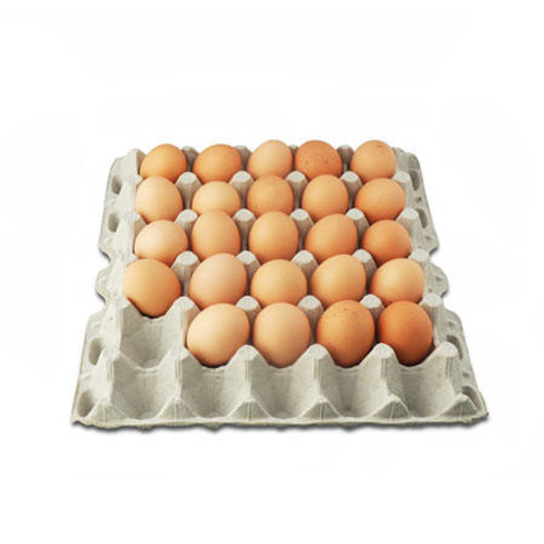 Jumbo Blank Egg Cartons, 100 Pack by Stromberg's