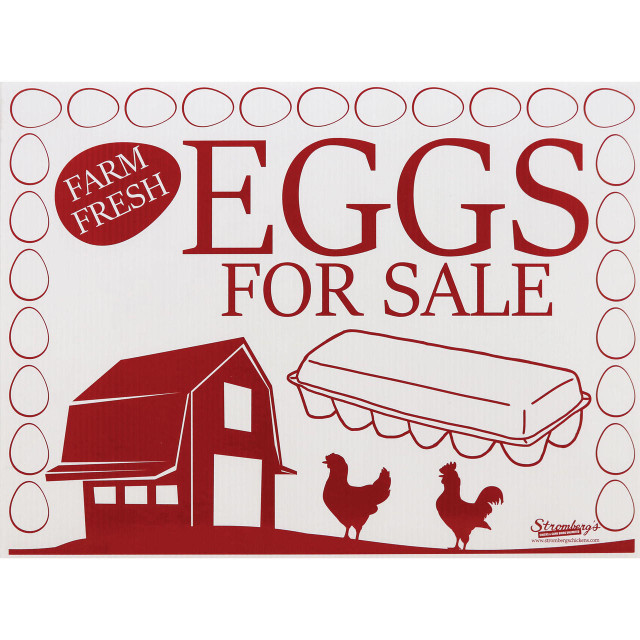 Eggs for Sale Sign