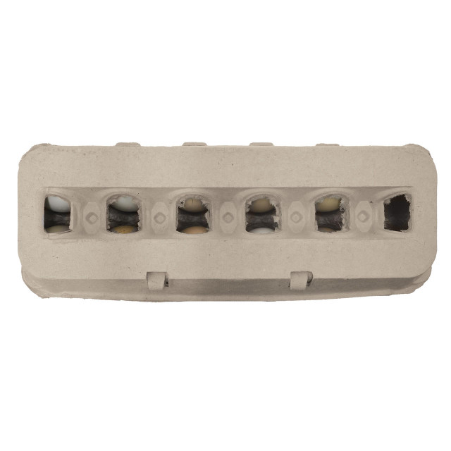 Jumbo Blank Egg Cartons