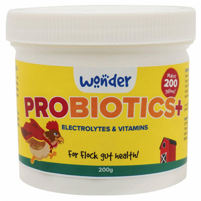 Probiotics+ w/ Electrolytes & Vitamins - 200 g