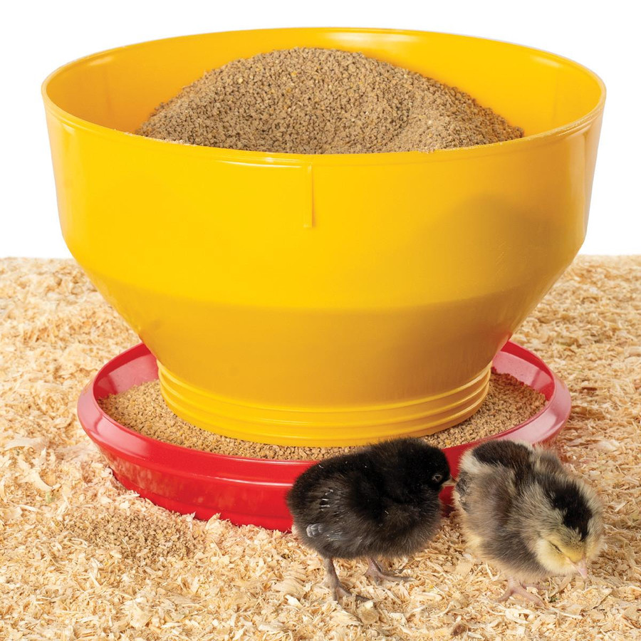 Turbo 8 lb Chick Feeder Single Turbo 8 lb Chick Feeder Single