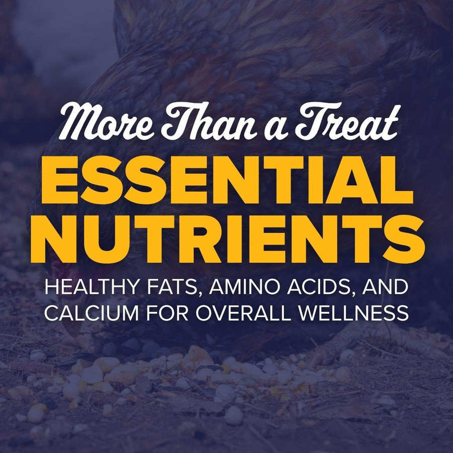 Garden Grubs, 6 lb, PH570, Stromberg's