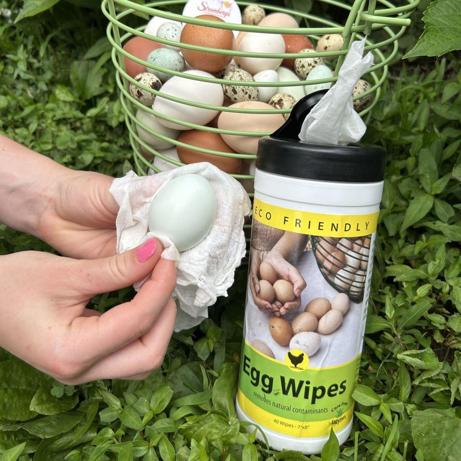 Carefree Enzymes Egg Wipes 25 Ct, PP064, Stromberg's Chickens.