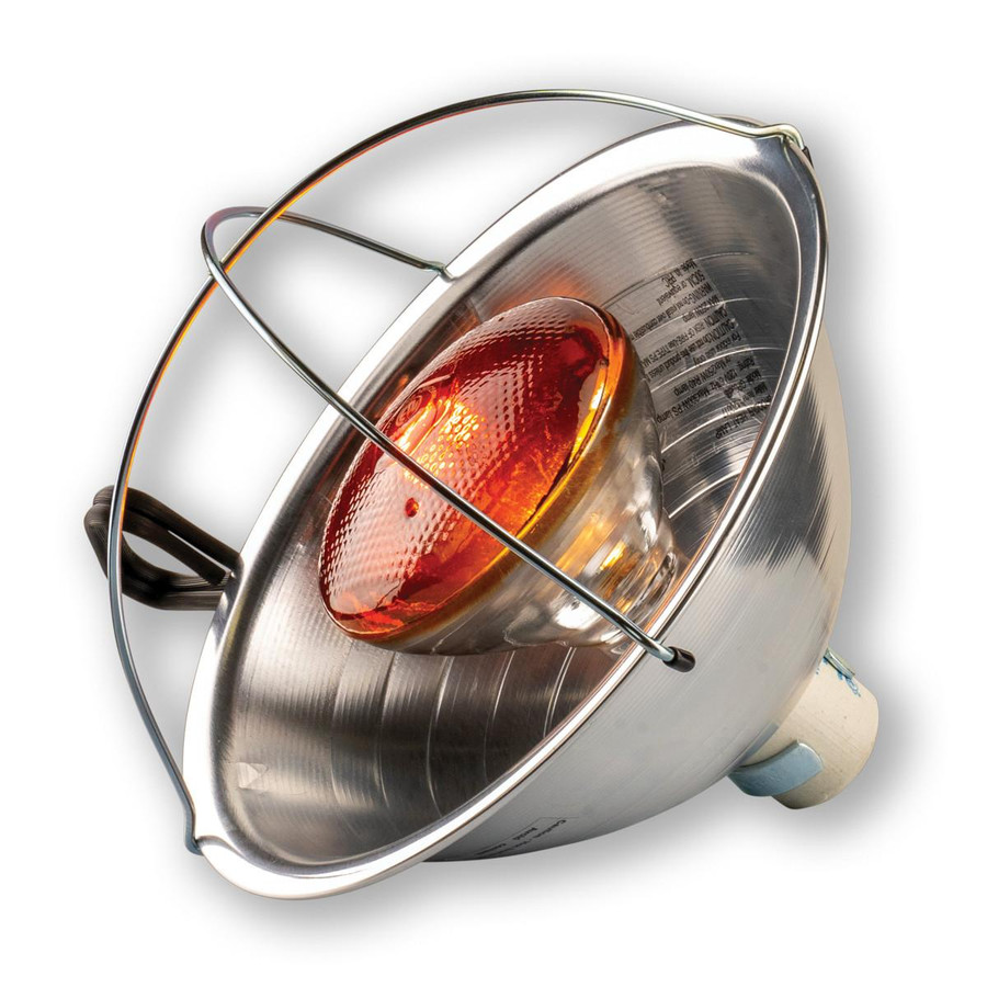 Brooder Reflector Lamp