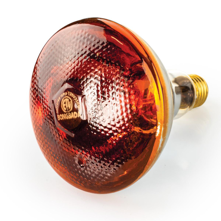 Infrared Heat Bulbs 250 Watt Splash Resistant Infrared Heat Bulbs 250 Watt Splash Resistant
