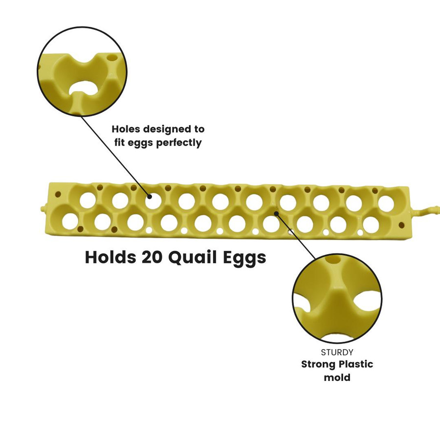 Quail Egg Racks for Auto Turner Quail Egg Racks for Auto Turner