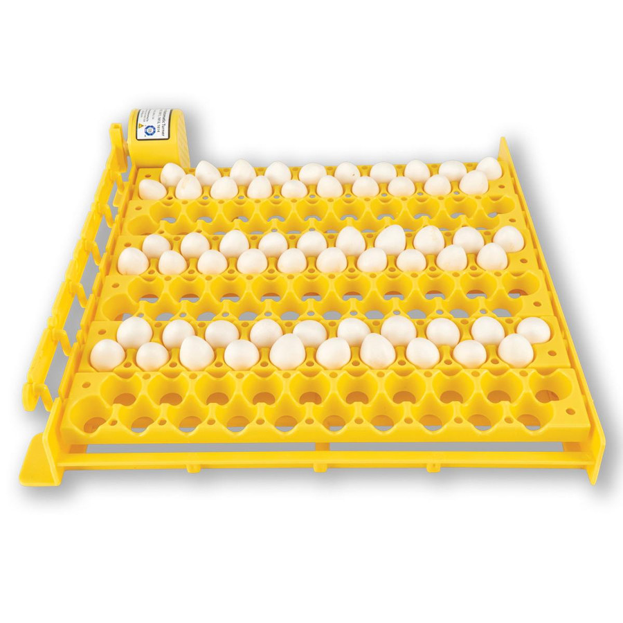 Quail Egg Racks for Auto Turner Quail Egg Racks for Auto Turner