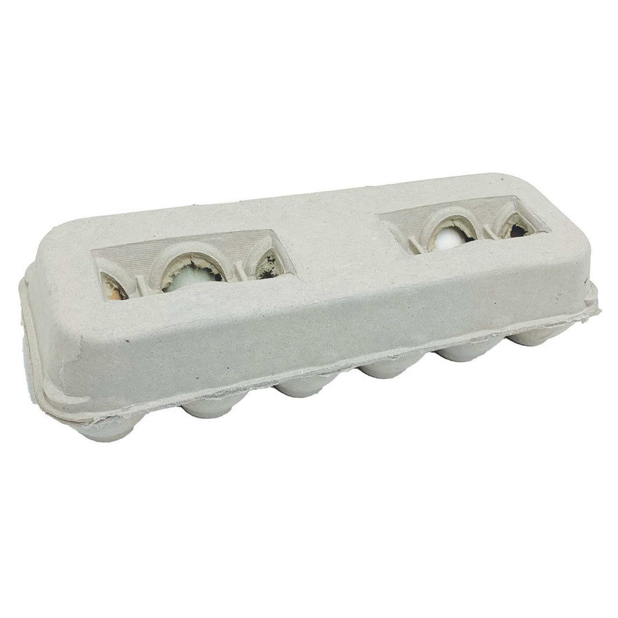 Large Blank Egg Cartons, Y014, Stromberg's.
