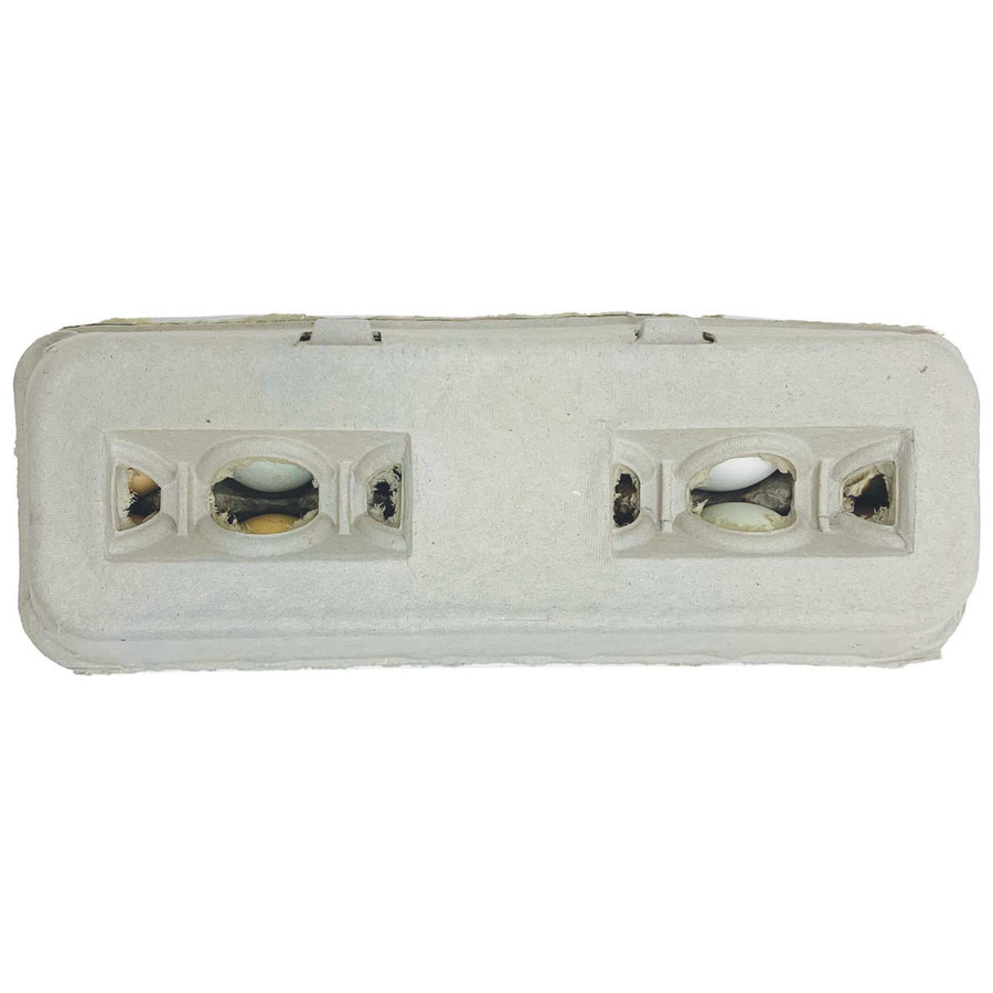 Large Blank Egg Cartons, Y014, Stromberg's.