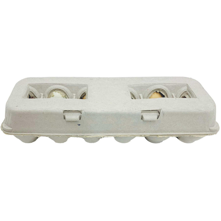 Large Blank Egg Cartons, Y014, Stromberg's.