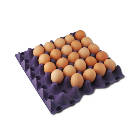 Stackable Plastic Egg Flats