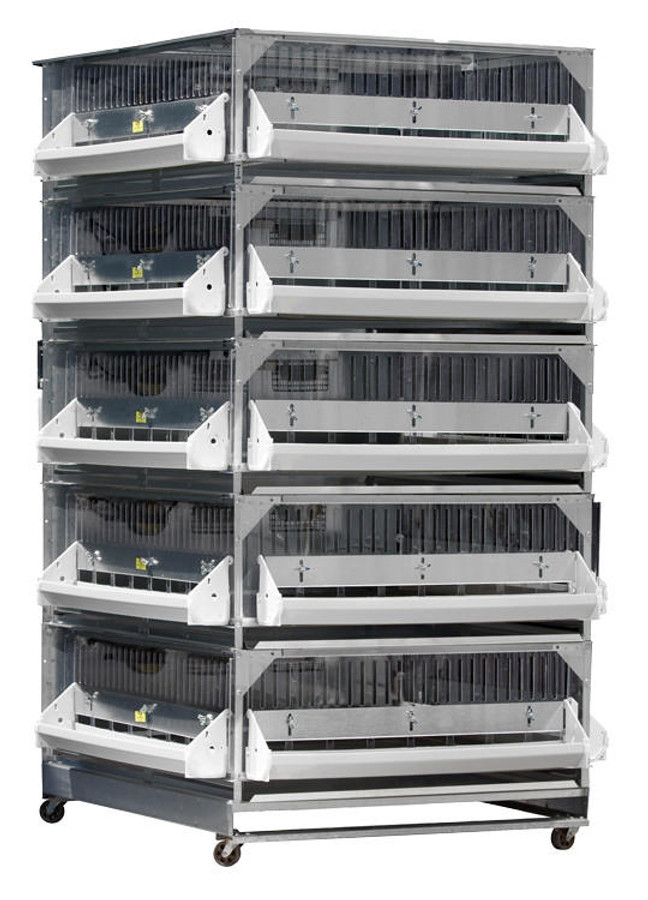 Stacked Five Deck Poultry Game Bird Battery Brooder Stacked Five Deck Poultry Game Bird Battery Brooder