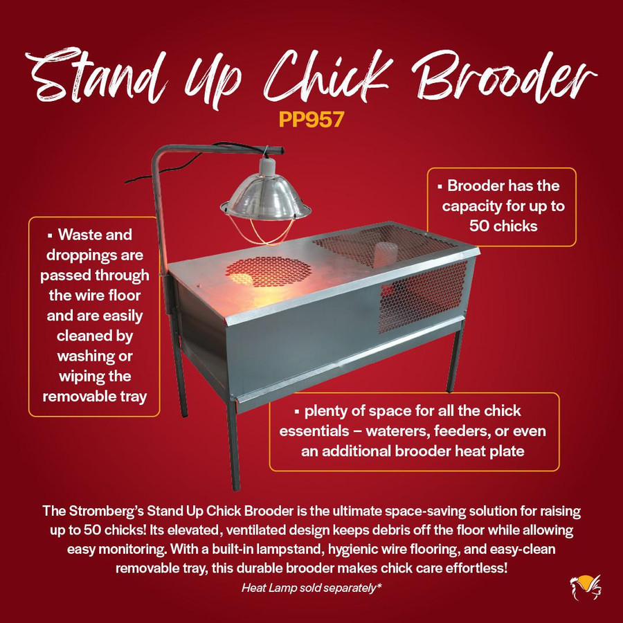 Stand Up Chick Brooder