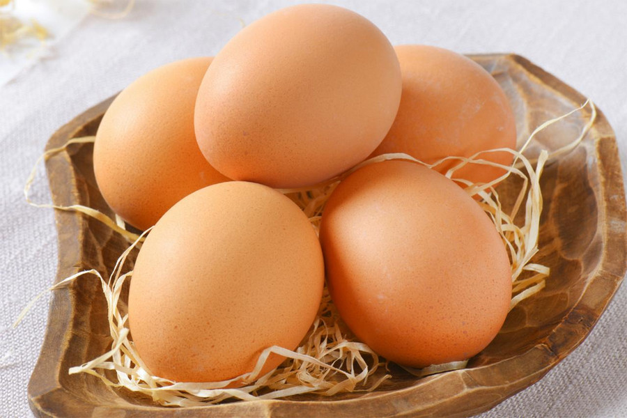 Hatchery's Choice Brown Egg Layers, Female