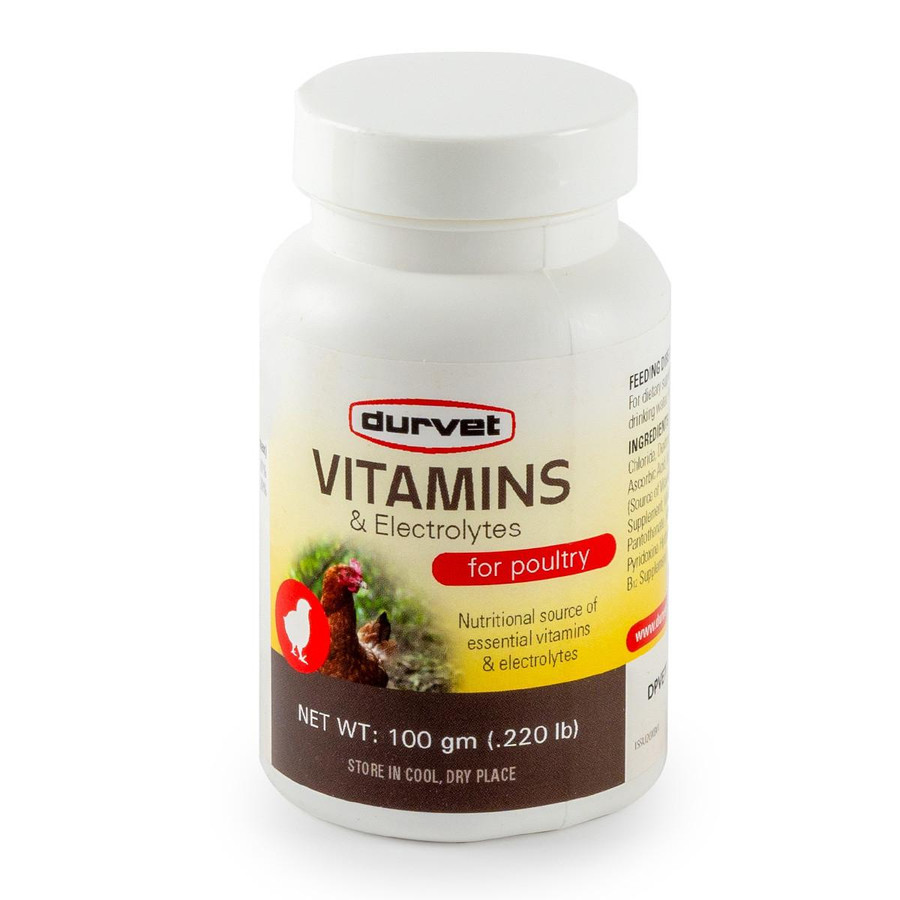 Comprehensive Chick Starter Kit - Lamp Brooder