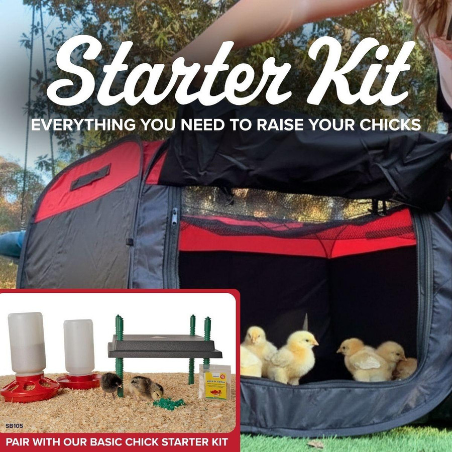 Chicken Brooder Pop-up Play Pen, PP604, Strombergs.