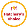 hatcherys choice
