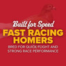 Red Check Janssen Racing Homer Pigeons, Y634, Stromberg's.
