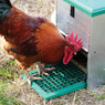Automatic Chicken & Duck Treadle Feeder - Feedomatic 26 Pounds