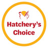 Hatchery's Choice Rainbow Assortment, Female