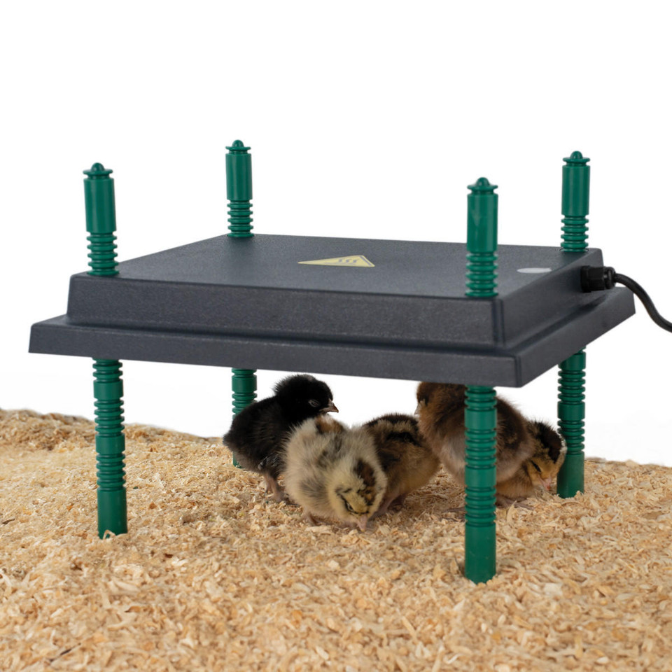 Kc Brooder Plate Chick Brooder Heating Plate - Sizes Available | Stromberg's