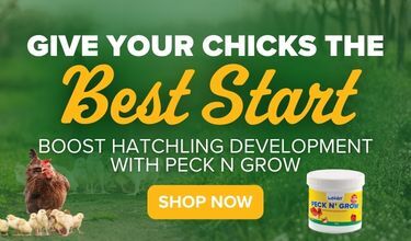 Peck n Grow Supplements