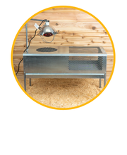 At Stromberg’s, we have a huge variety of chick brooders, helping poultry farmers and hobbyists create the perfect environment for their new chicks.