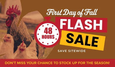 First Day of Fall Flash Sale