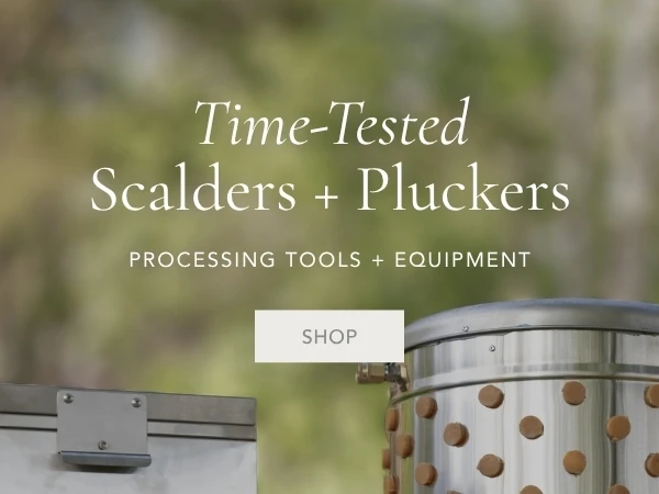 Shop Scalders, Pluckers, & Tools