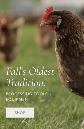 Exotic Pigeons & Doves | Stromberg's Chickens