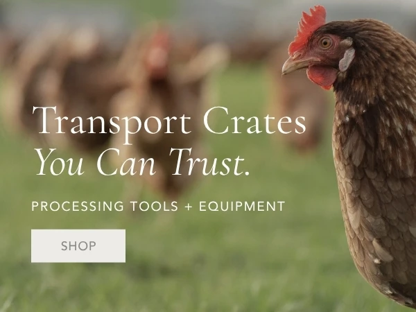 Shop Meat Birds