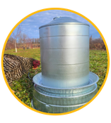 Designed to cater to all sizes of hatcheries and farms, our chicken feeder collection ensures that your birds receive the right amount of nutrition in a convenient and efficient manner.