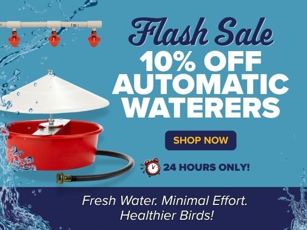 Flash Sale- Waterers