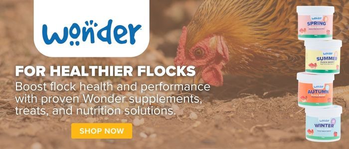 Boost flock health and performance with proven Wonder supplements, treats, and nutrition solutions from Stromberg's! 