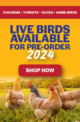 Shop Bird Net Catching Birds with great discounts and prices online - Feb  2024